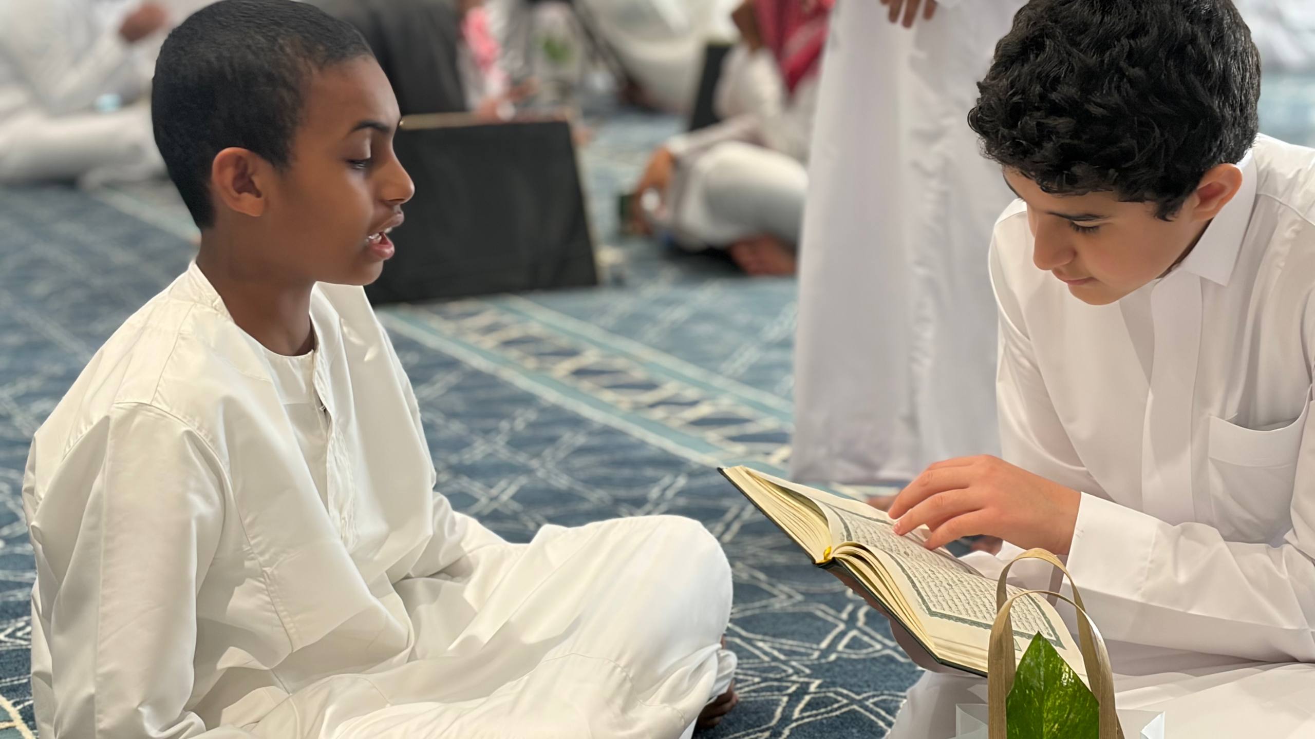 ثنائيات مراجعة